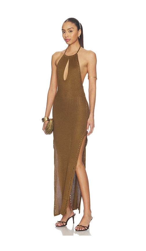 flook the label maxi dress in brown.