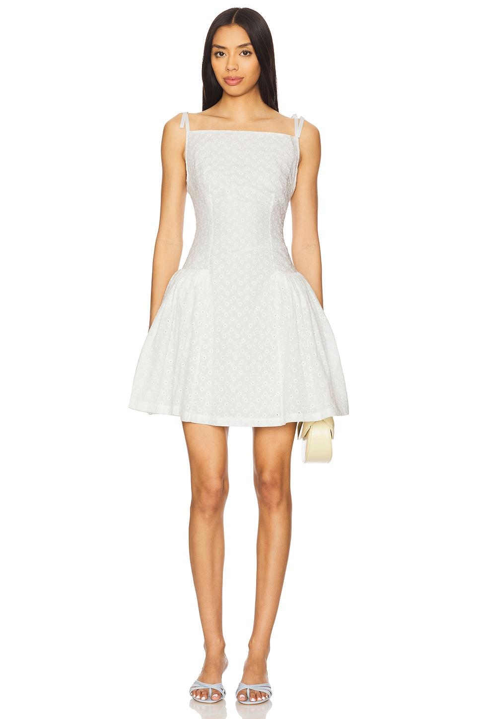 floral embroidered hoop cotton dress