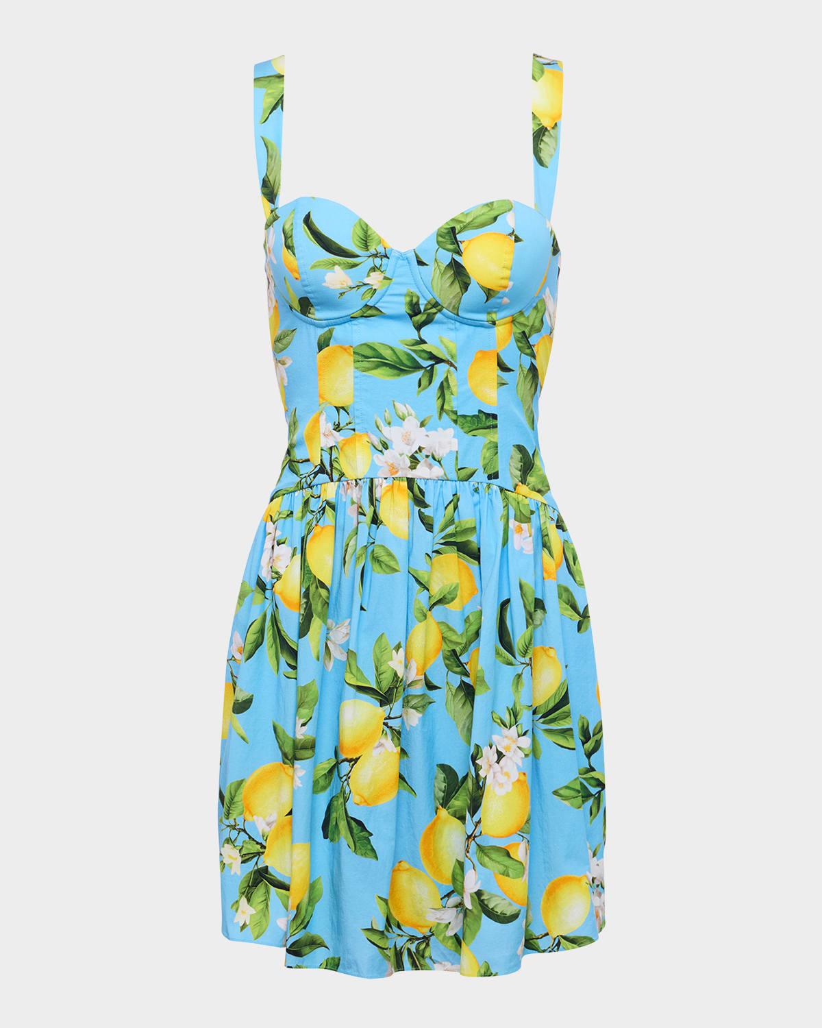 floral lemon jai drop-waist mini dress