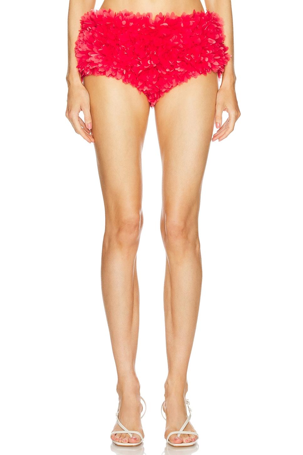 flower high-rise briefs