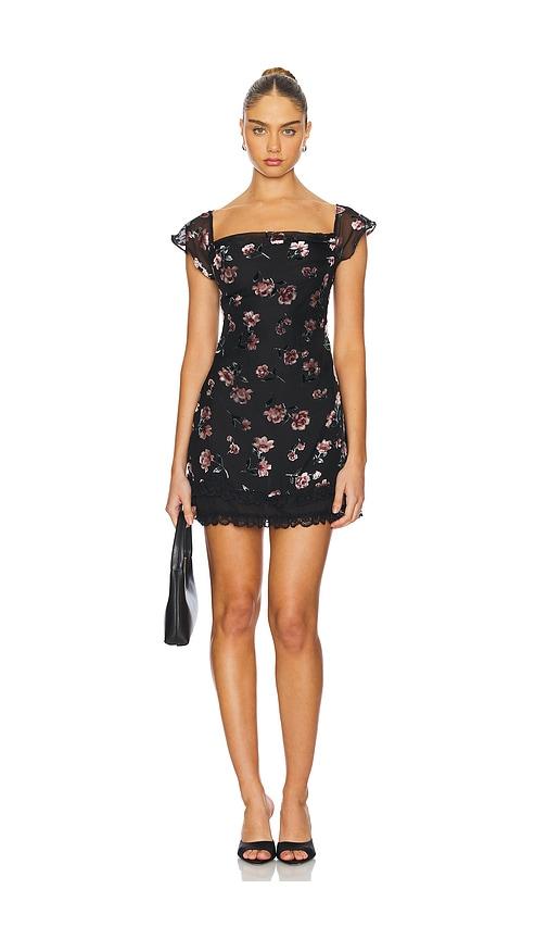 for love & lemons aigrette mini dress in black.