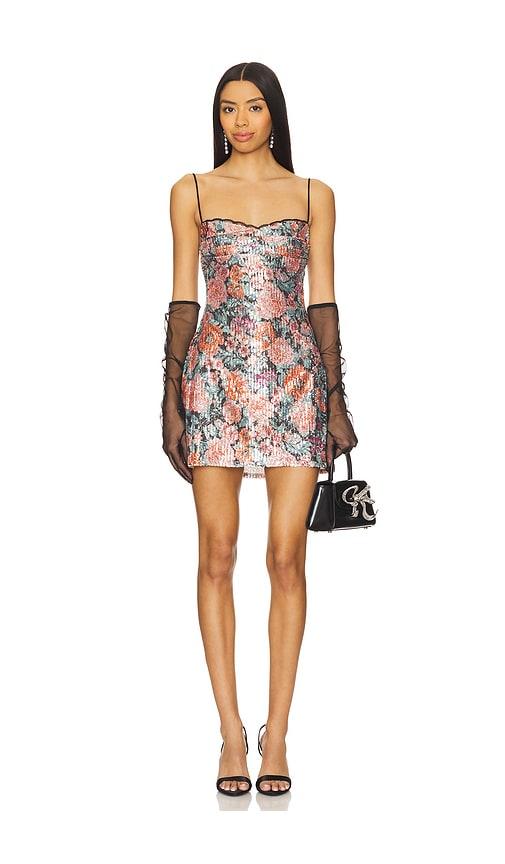 for love & lemons ladonna mini dress in rose.
