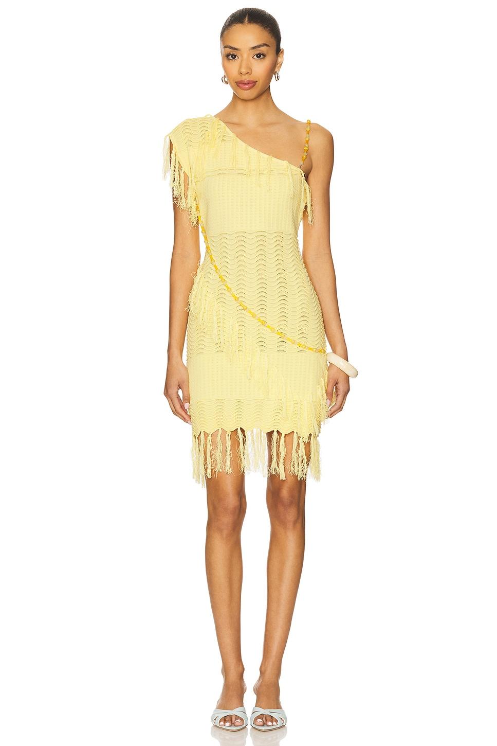 fran beaded dress
