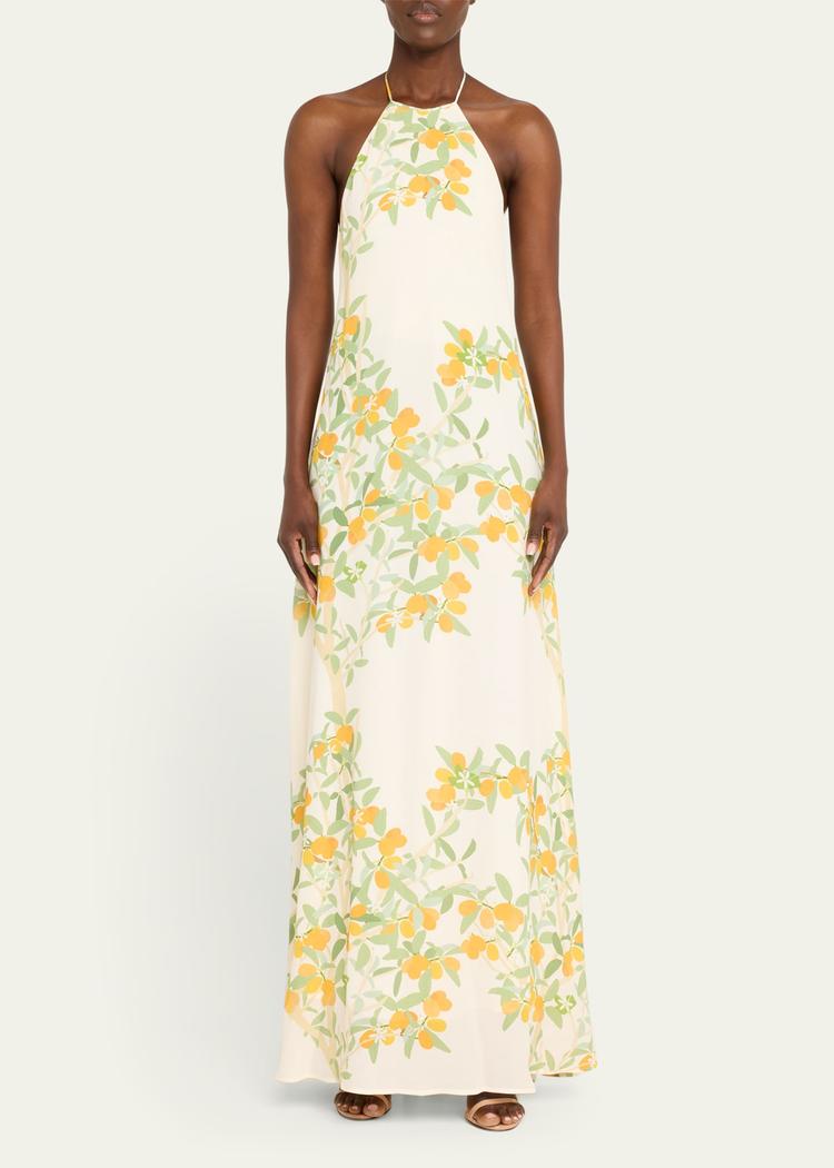 frannie floral print maxi dress