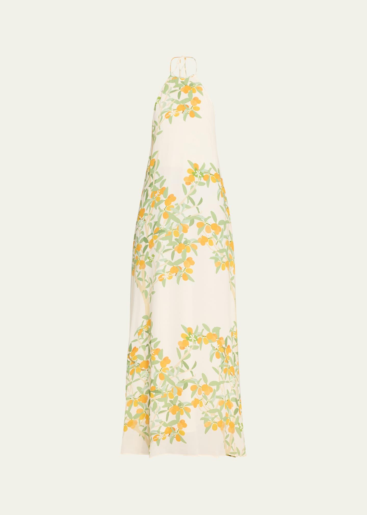 frannie floral print maxi dress