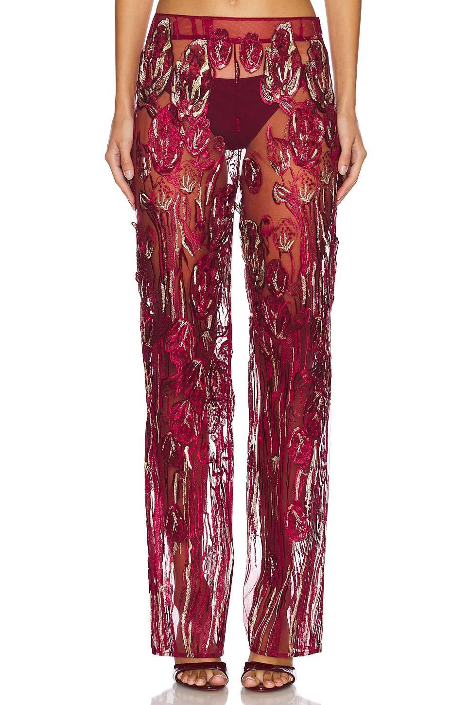 full length embroidered pants