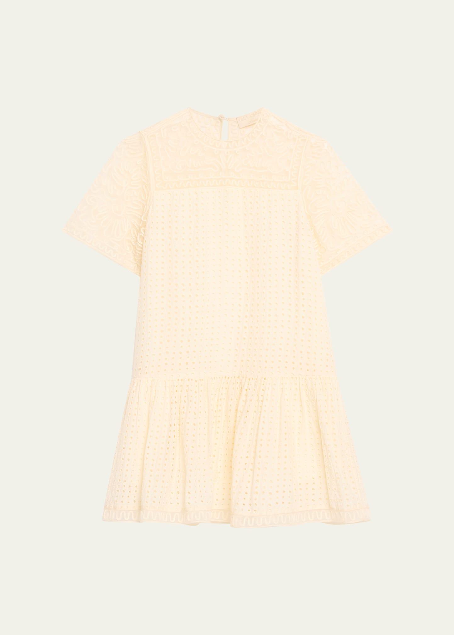 gabi embroidered mini dress