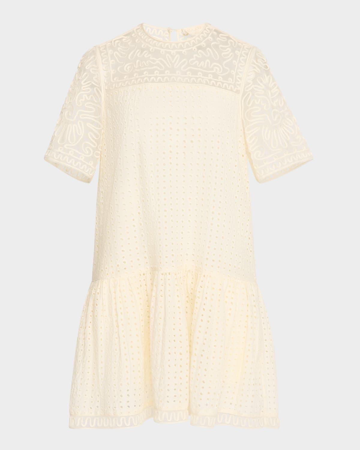 gabi embroidered mini dress