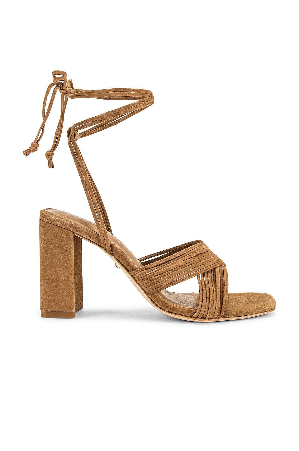 gian heel