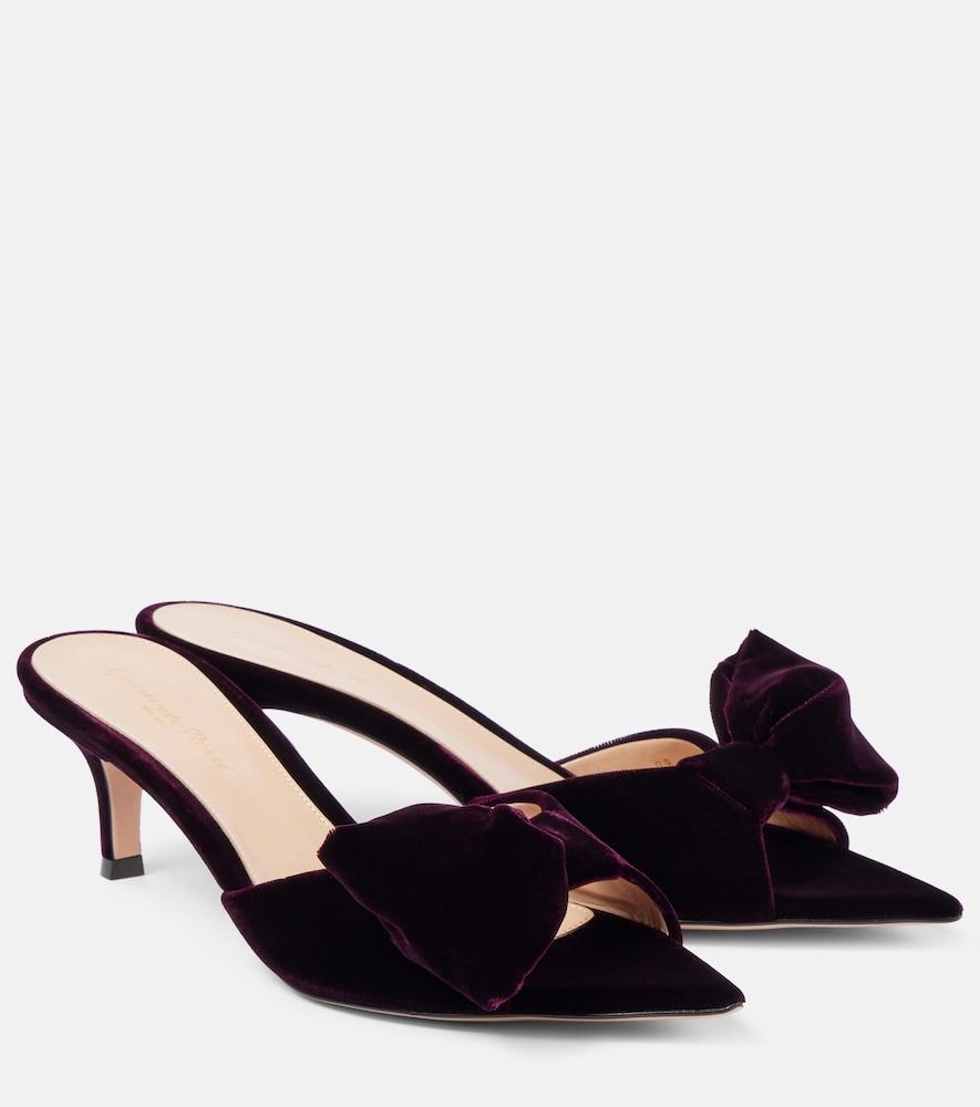 gianvito rossi 55 bow