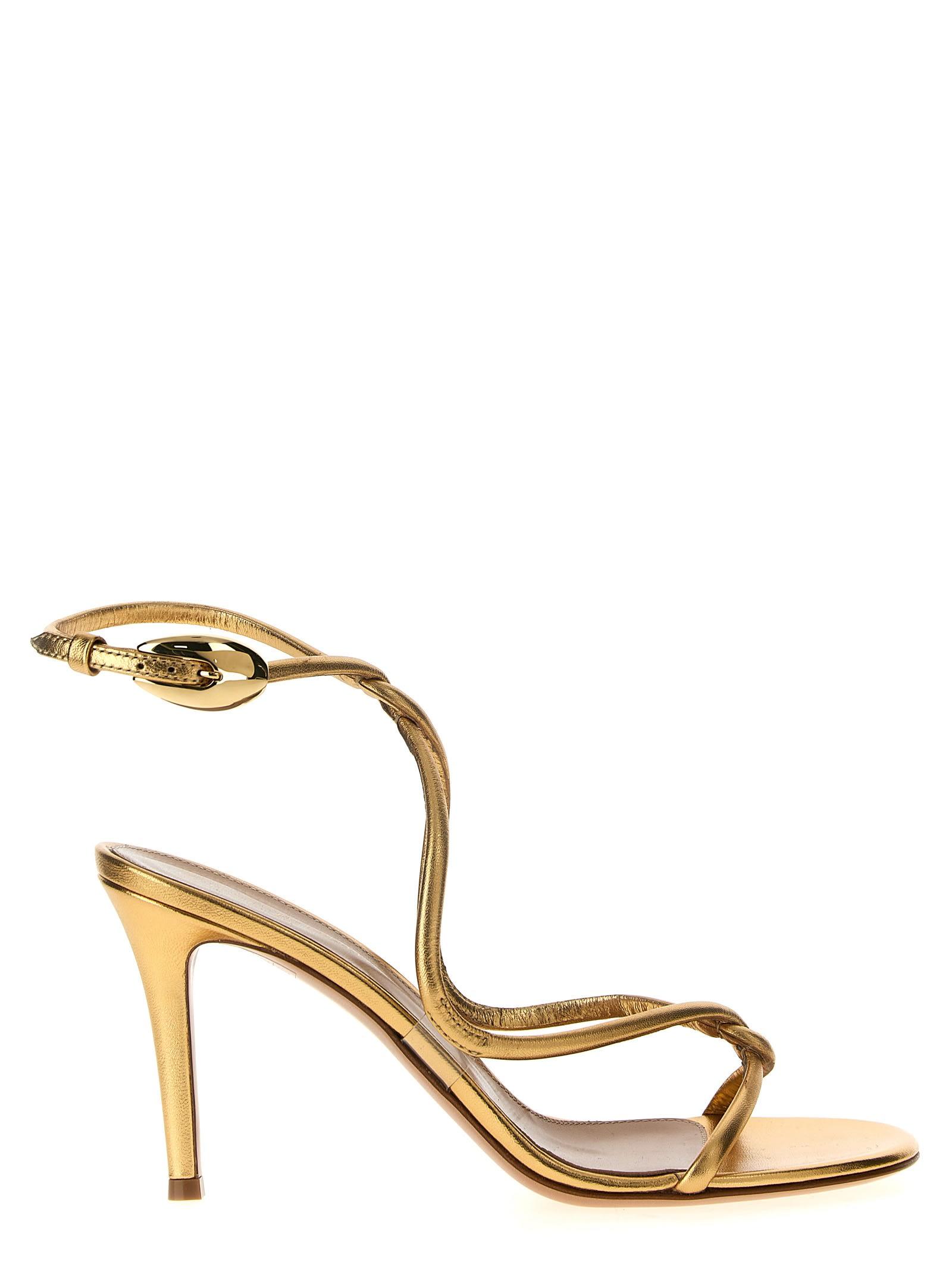 gianvito rossi black mamba sandals