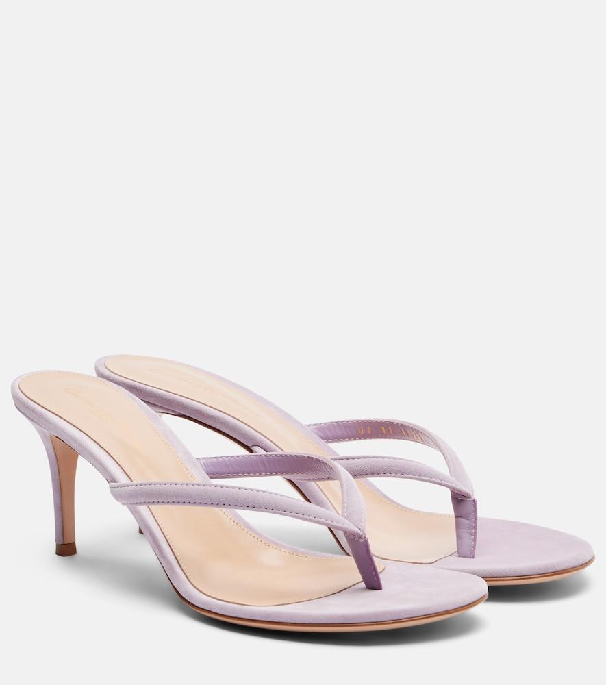 gianvito rossi calypso suede thong sandals