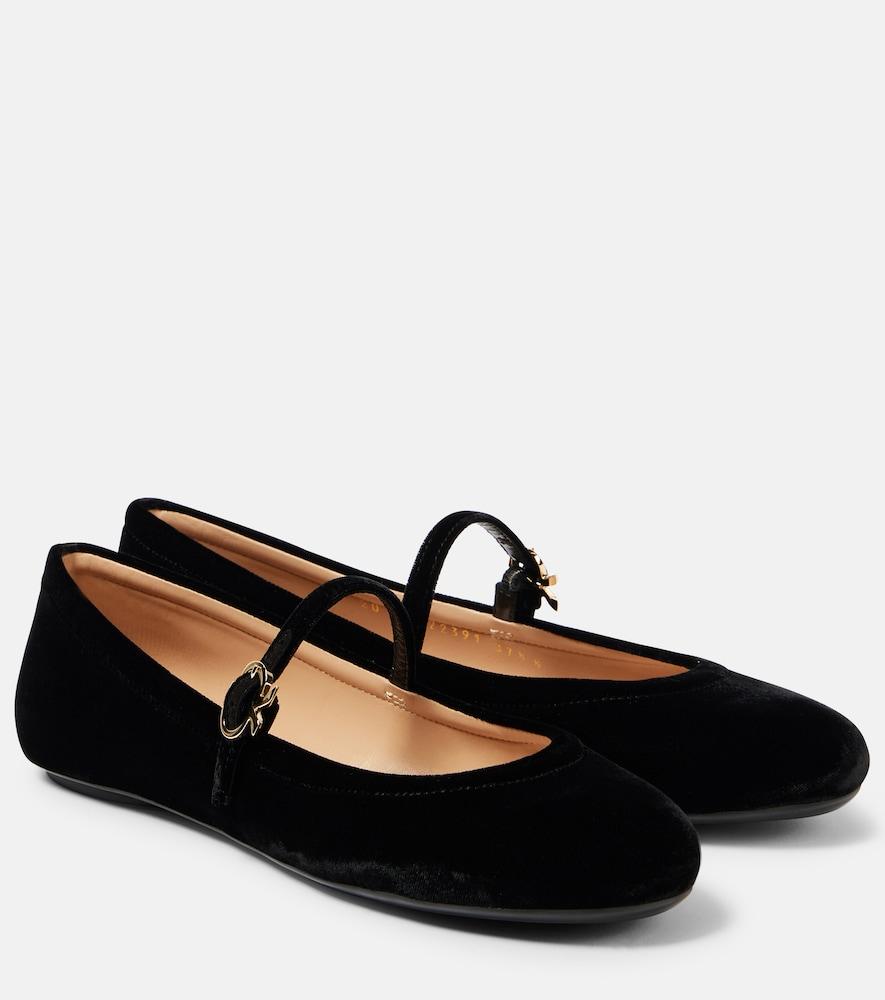 gianvito rossi carla velvet ballet flats