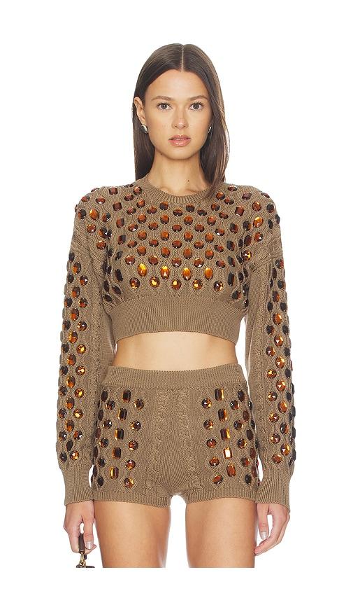 giuseppe di morabito sweater in brown.