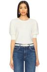 gladiolus top
