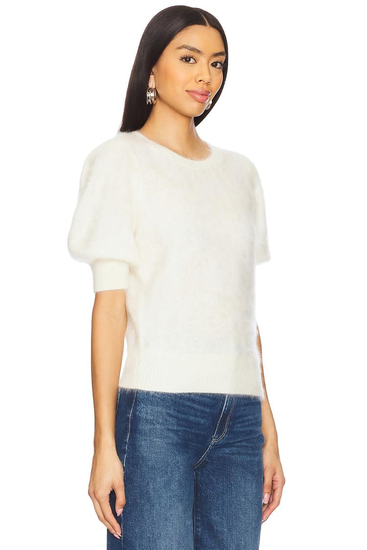 gladiolus top