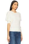 gladiolus top