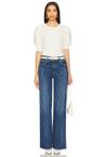 gladiolus top