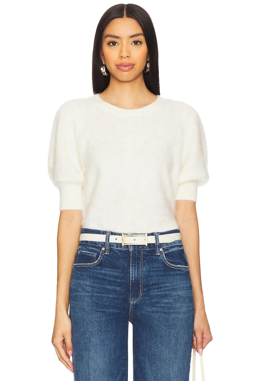 gladiolus top
