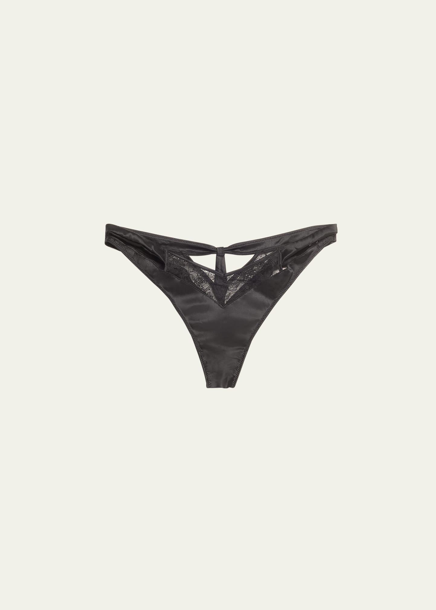 grenelle cutout lace & satin tanga