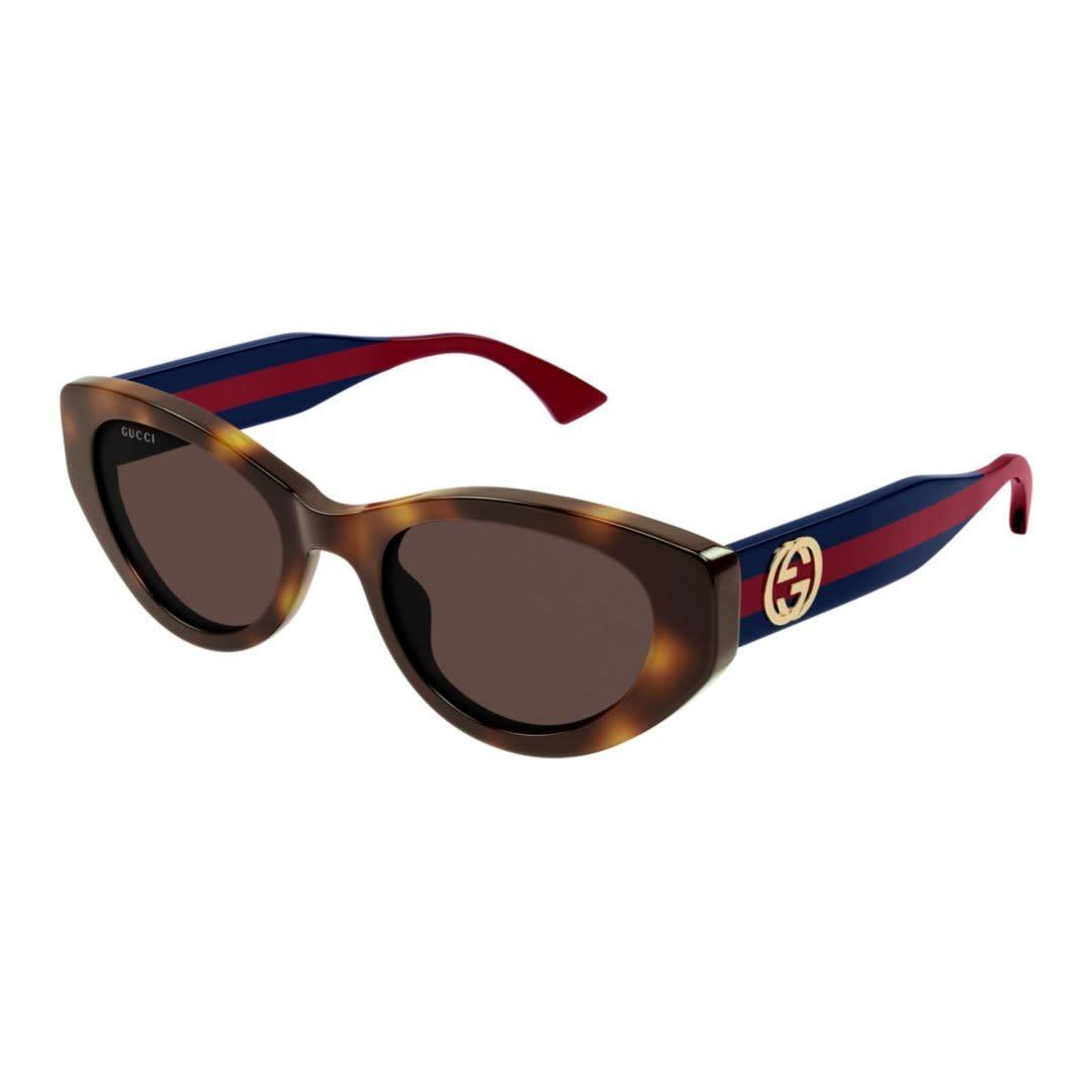 gucci eyewear gg1862s-002havana-blue-brown