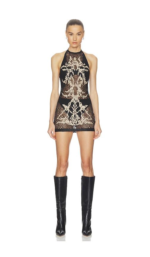 haelo feather lace mini dress in black.