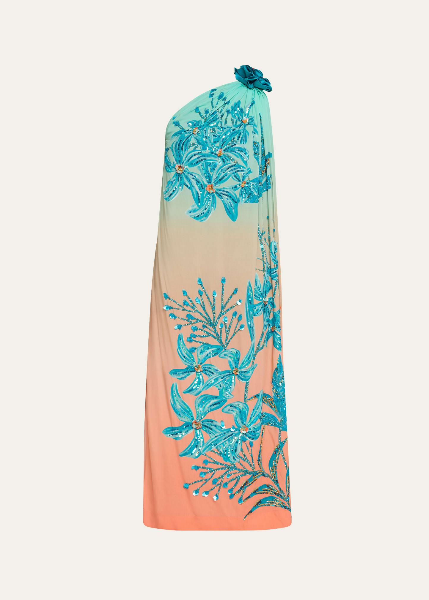 hand-beaded rani toga maxi dress