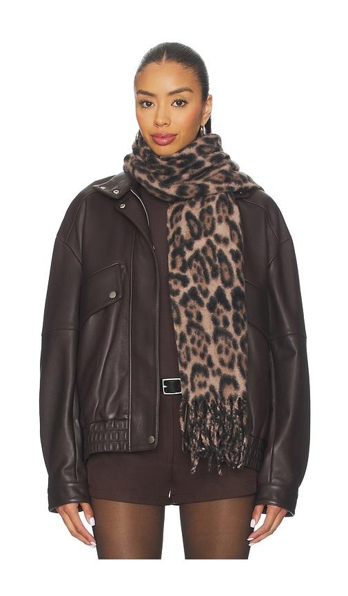 hat attack leopard scarf in brown.