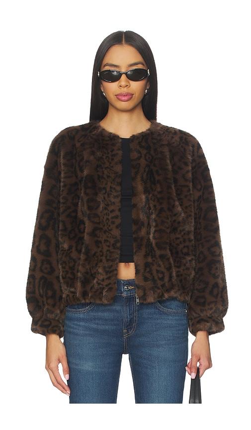 heartloom patty coat in brown.