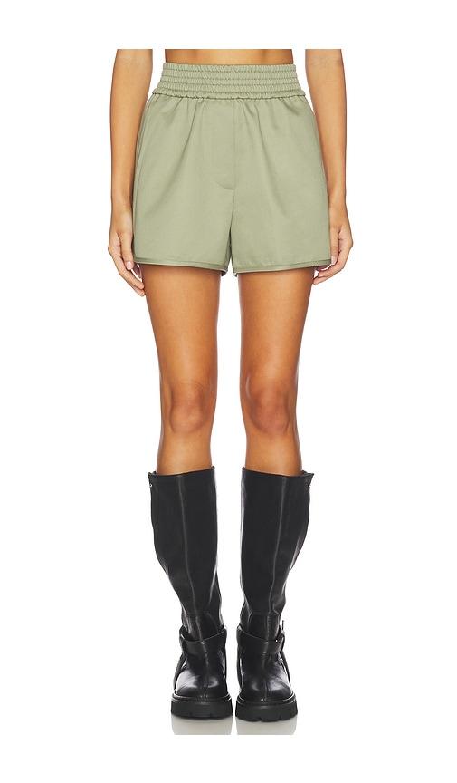 helmut lang boxer short in sage.