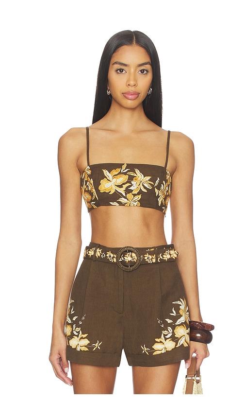 hemant and nandita bandeau top in brown.