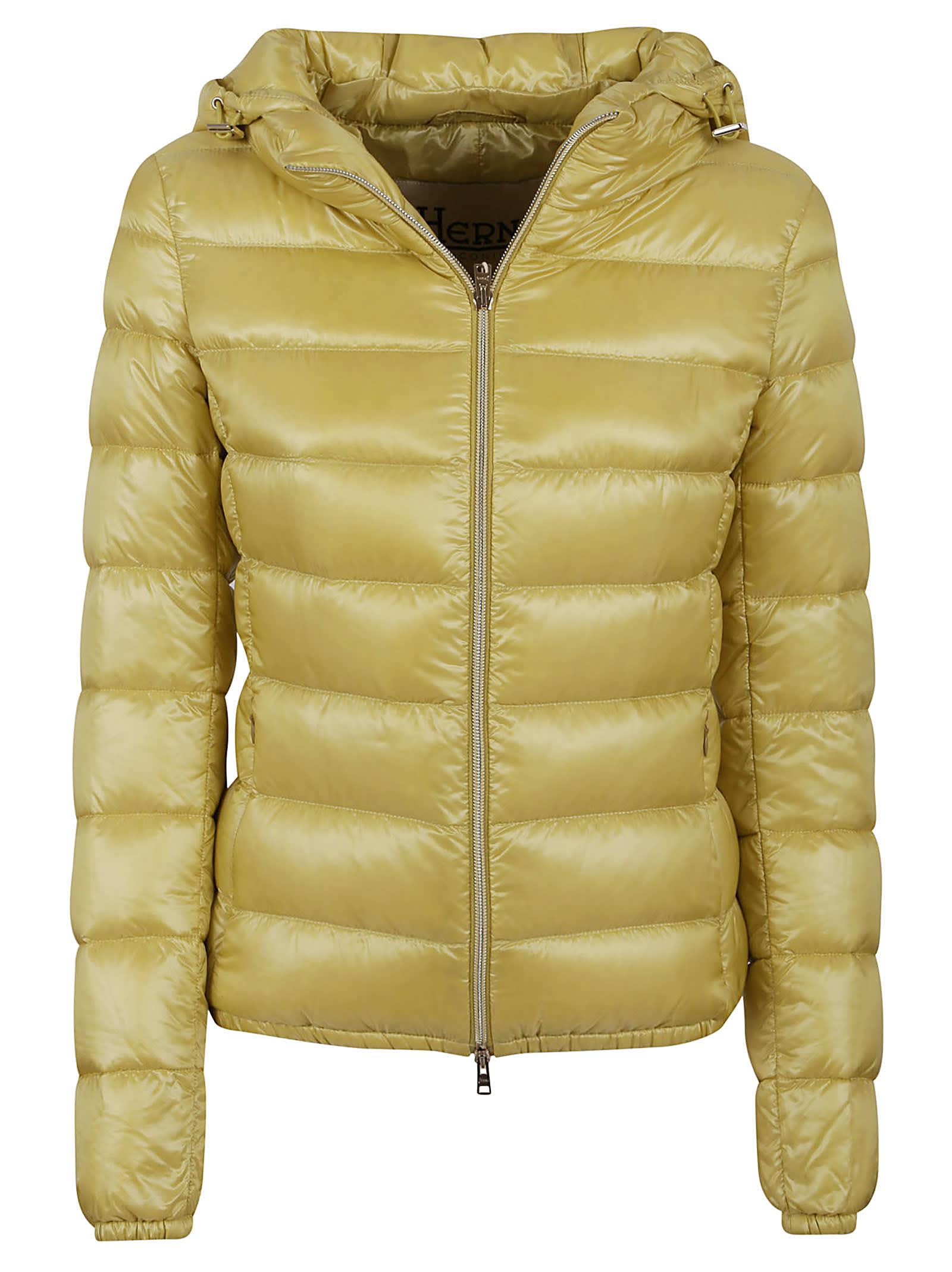 herno padded jacket