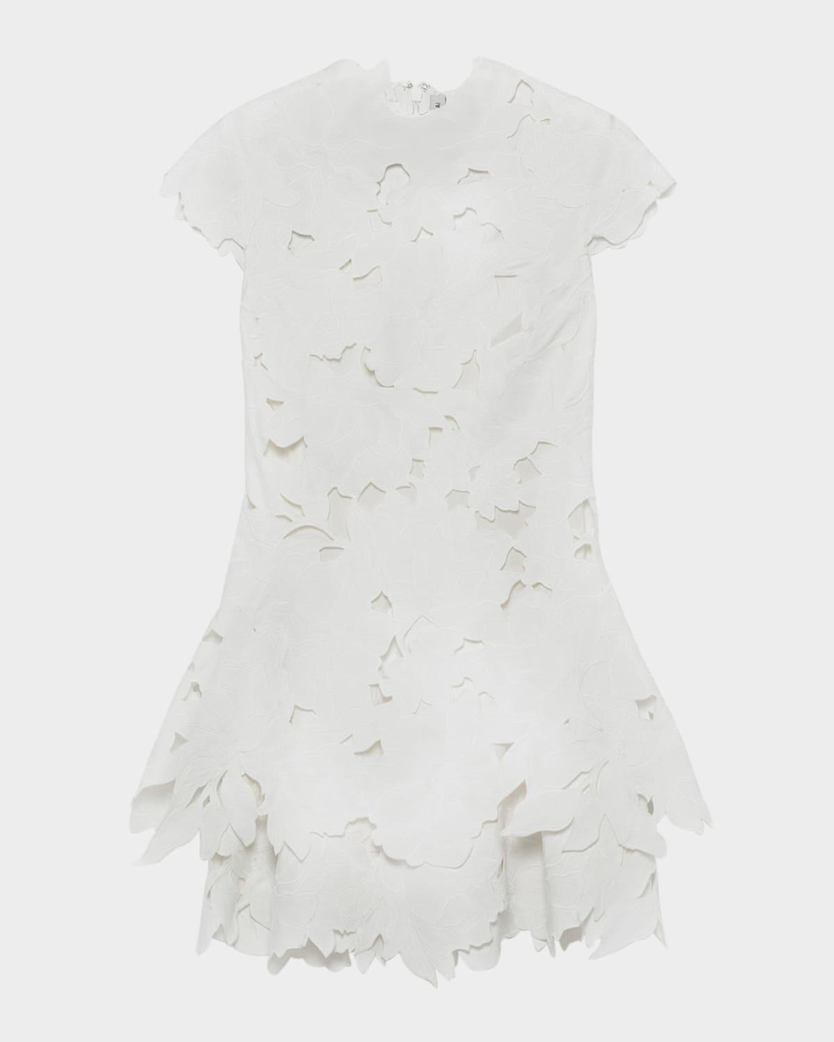 holloway embroidered mini dress