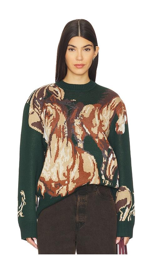 house of sunny wild horses sweater in green.