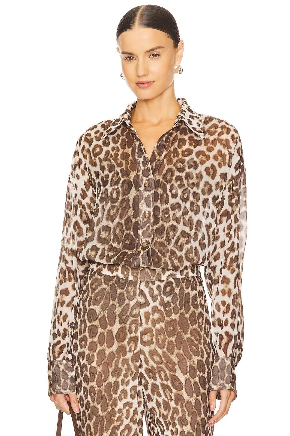 illustration leopard shirt