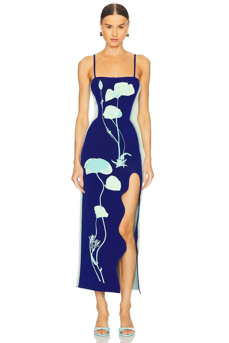 iris maxi dress