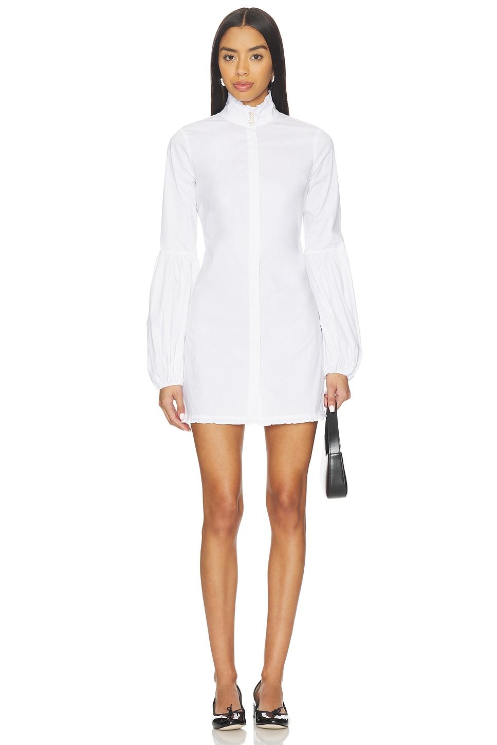 jacqueline high neck ruffle mini shirt dress
