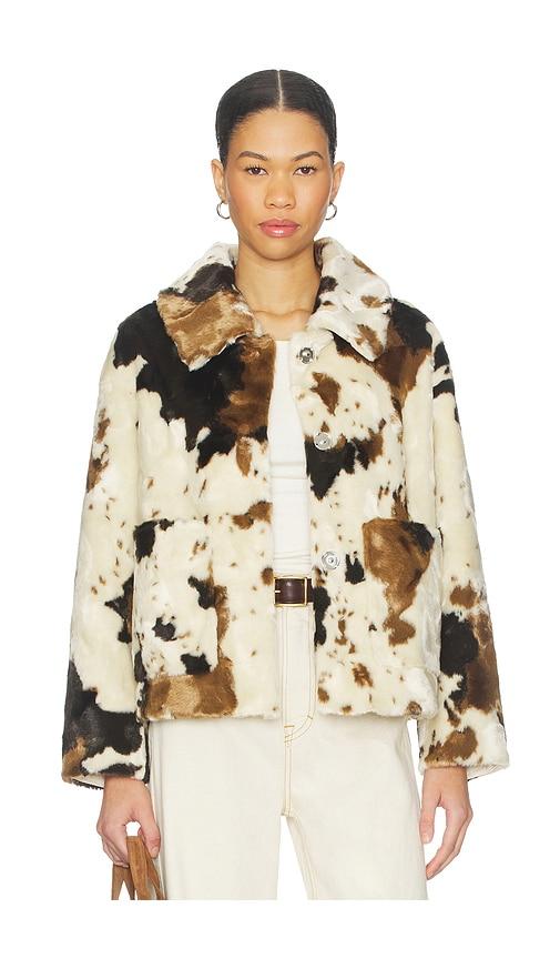jakke traci jacket in cream,brown.