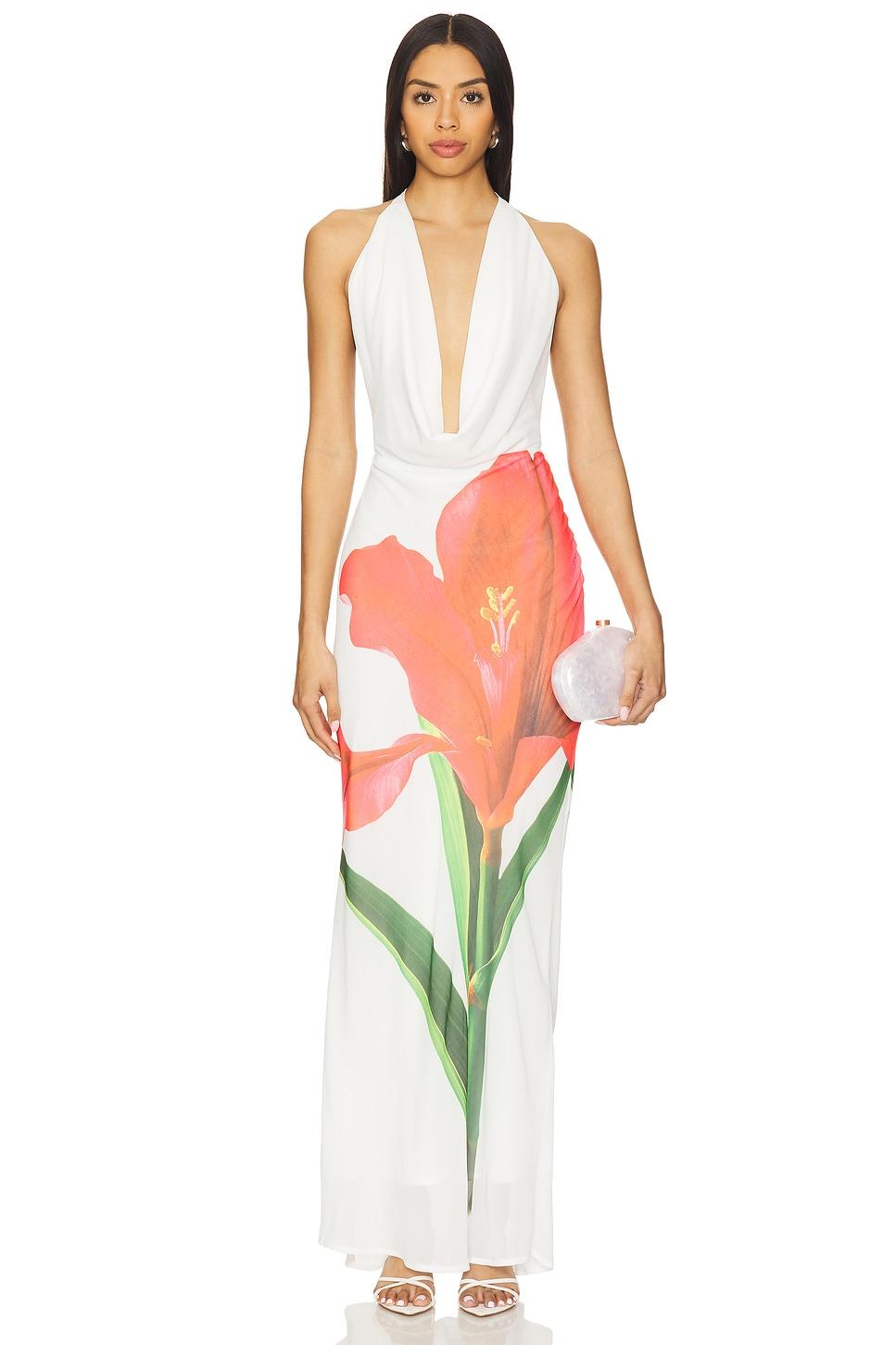jasmina maxi dress