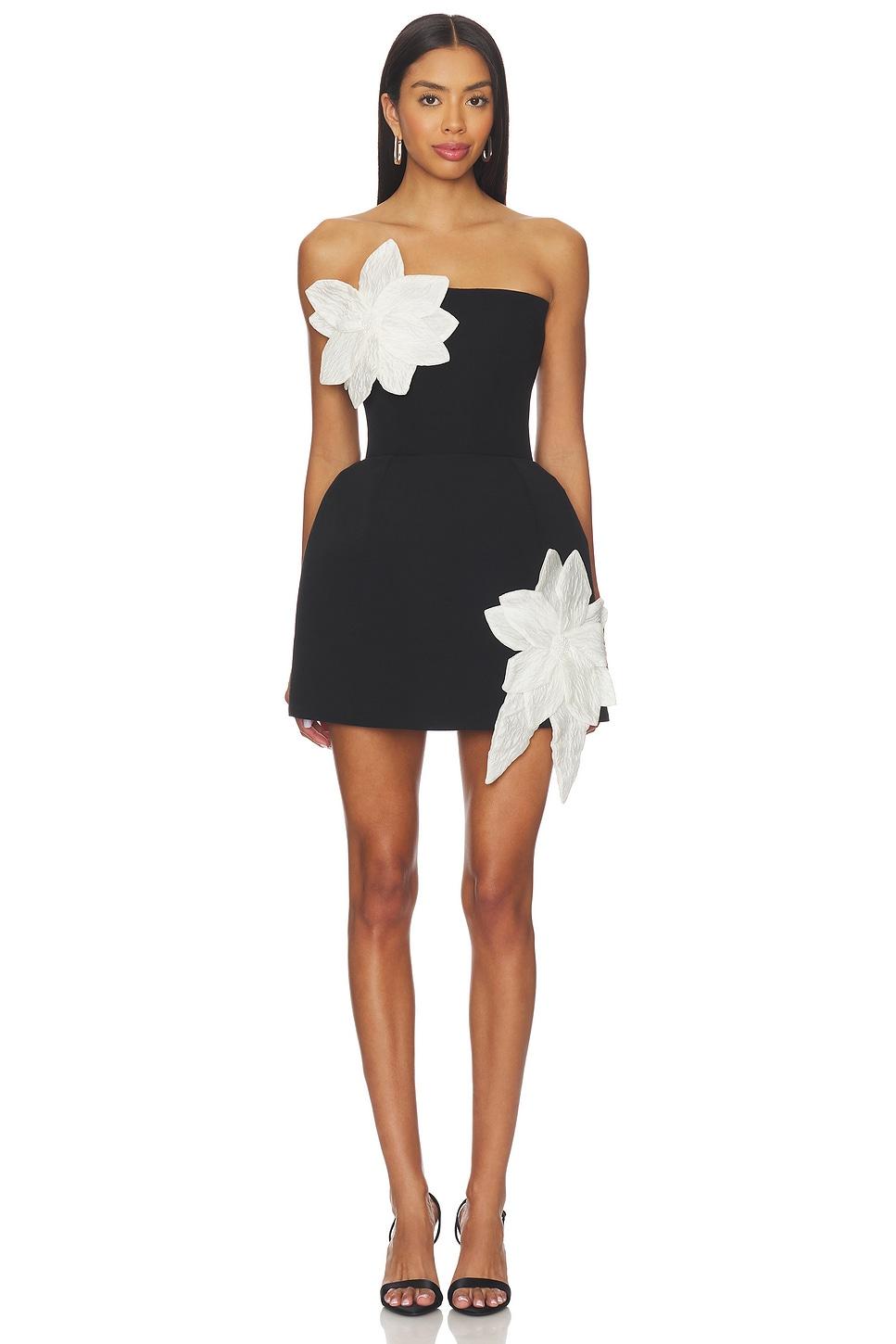 jasmine maraya mini dress