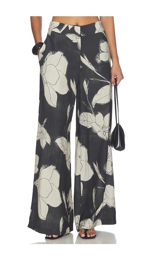jbq arlan pant in multi.