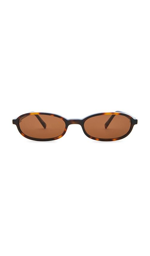 jimmy fairly the emmy sunglasses in brown.