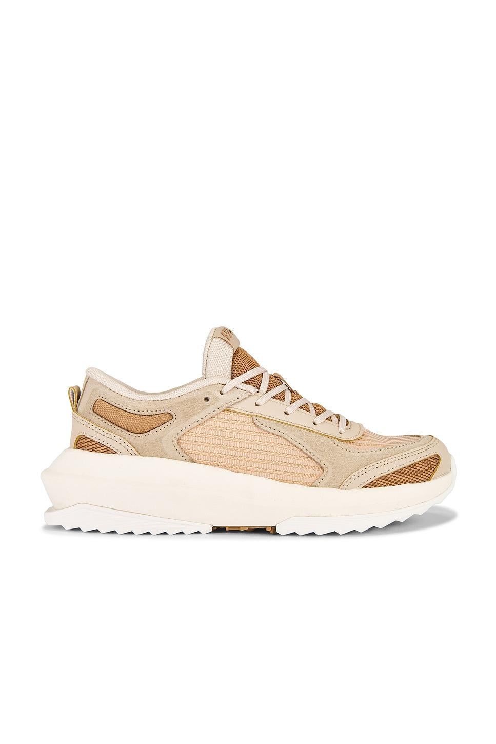 jogger sneaker