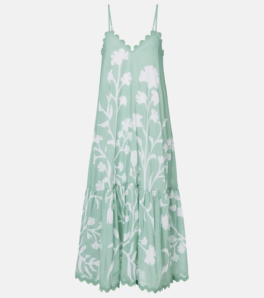 juliet dunn floral scalloped cotton midi dress