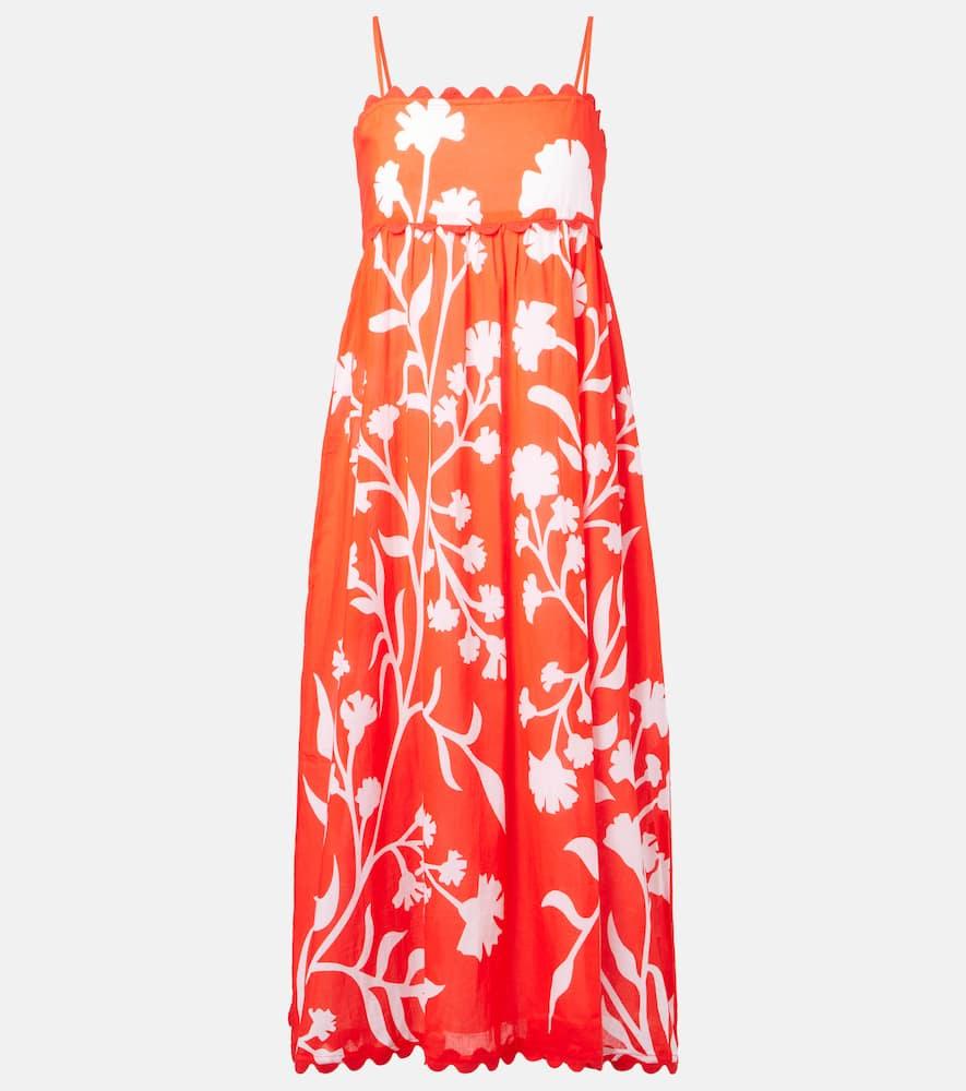 juliet dunn printed scalloped cotton midi dress