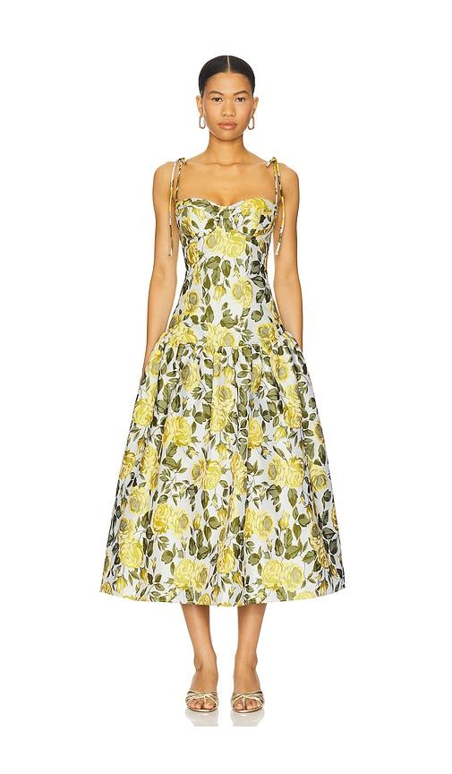 katie may dee midi dress in olive,yellow.