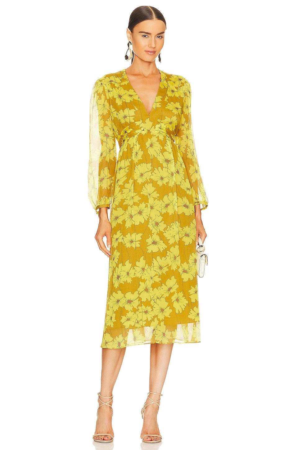 kaz dress