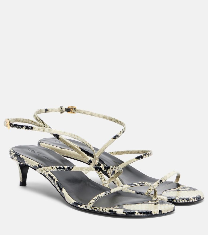 khaite loop 35 snake