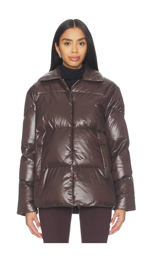 khrisjoy bluebell shirt in chocolate.