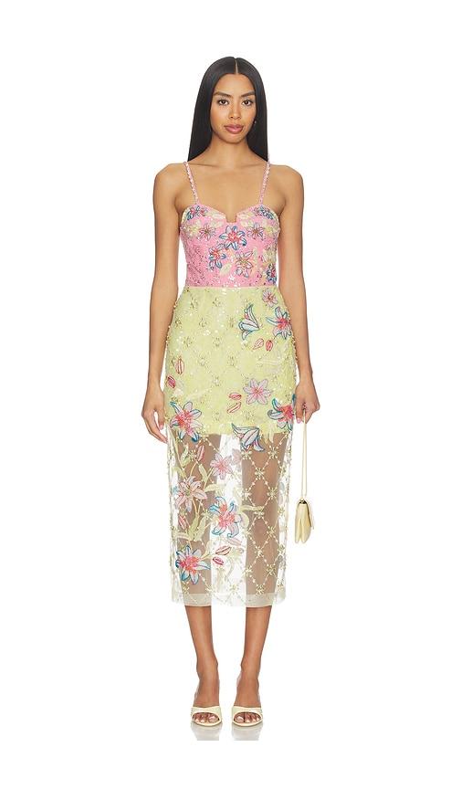 la fuori blush lily embroidered dress in pink,yellow.